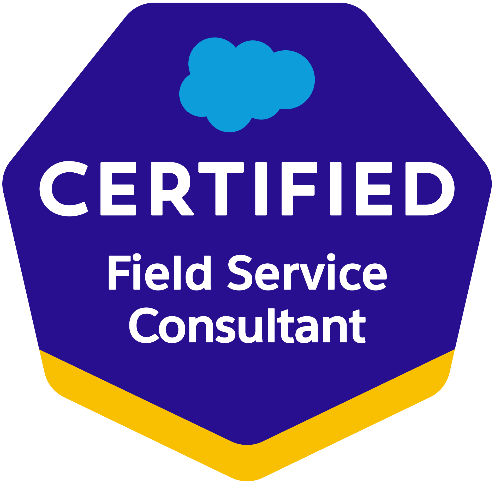 Field-Service-Consultant