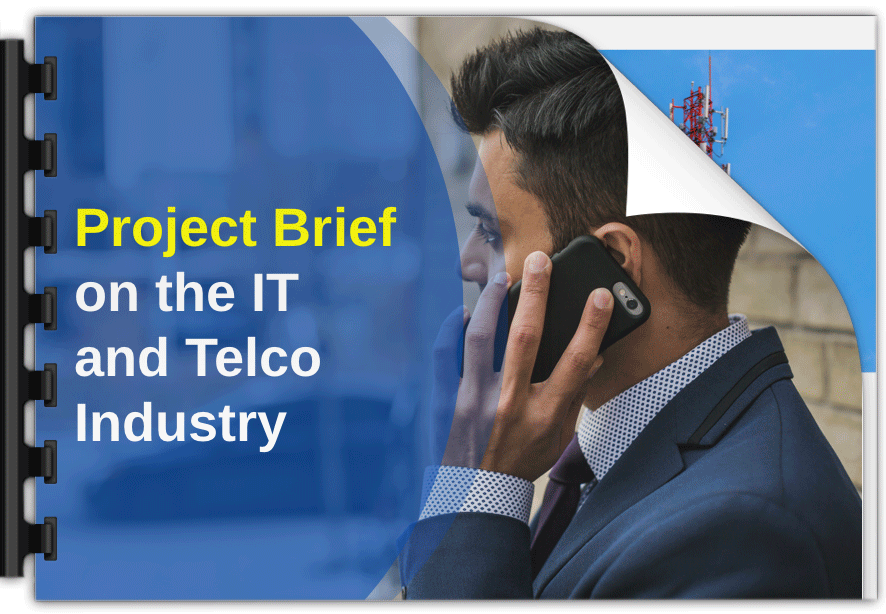 Telco Service Provider Project Brief