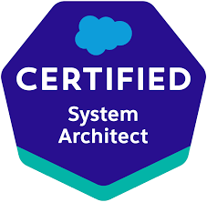 system architect