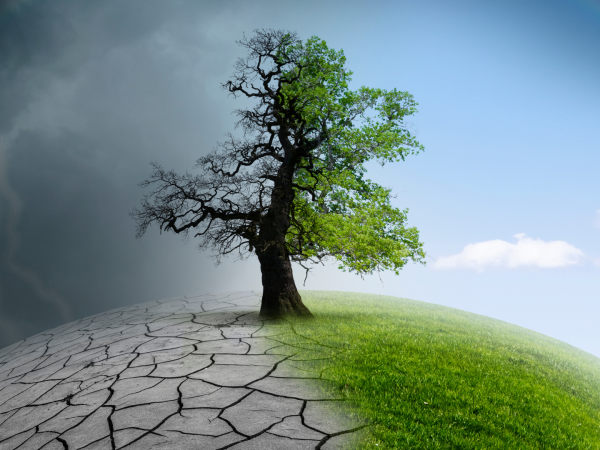 Why Should Tech Companies Care About Climate Change & Sustainability?