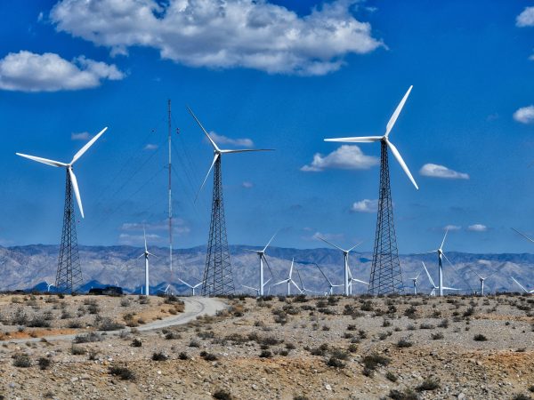 Meet Your Sustainability Goals with Salesforce