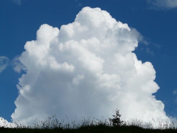 What You Didn’t Know About Cloud Technology for NGOs
