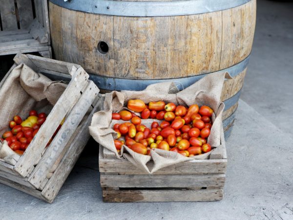Transforming The Agriculture Landscape With Cloud