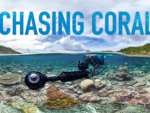 Watch a Real Life Horror Story Unfold Through Google’s Underwater Street View