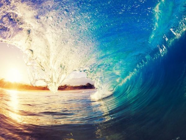 The New Wave in Business Intelligence